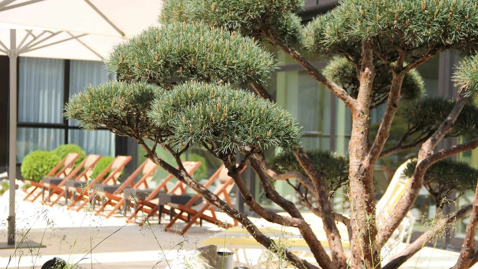 Ramada Nuernberg Parkhotel 4*, נירנברג גרמניה